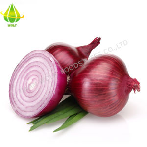 Matanga в обход onion top com